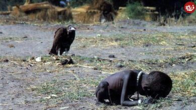 «لاشخور و دختر قحطی‌زده»؛ ماجرای یکی از تکان‌دهنده‌ترین عکس‌های تاریخ