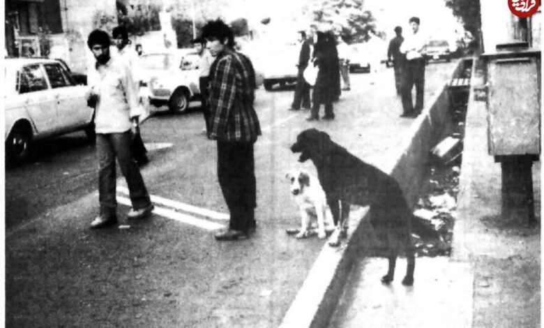 عکس؛ سفر در زمان؛ سگ‌های ولگرد و موتورسواران بی‌گواهینامه تهران را بهم ریختند!