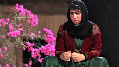 (عکس) «روناک، رونی کلمن دایی» سریال نون خ بعد 3 سال؛ صهبا شرافتی در 28 سالگی