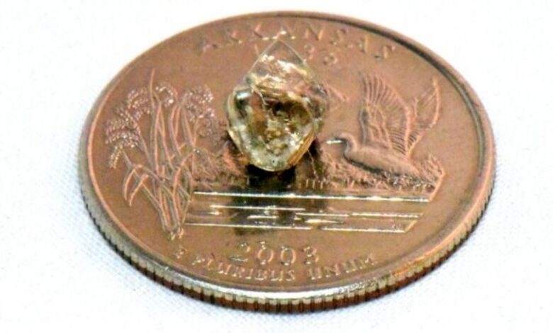 عکس؛ ماجرای زنی که به طبیعت‌گردی رفت و الماس سفید ۲.۳ قیراطی پیدا کرد