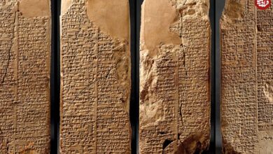 عکس؛ سفر در زمان؛ مجموعه‌ای از کاردهای نت‌نویسی متعلق به قرن شانزدهم