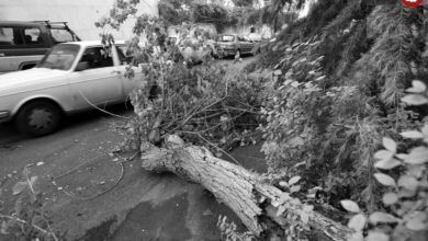 عکس؛ سفر در زمان؛ توفان شدید در تهران بازگشایی مدارس را سخت کرد!