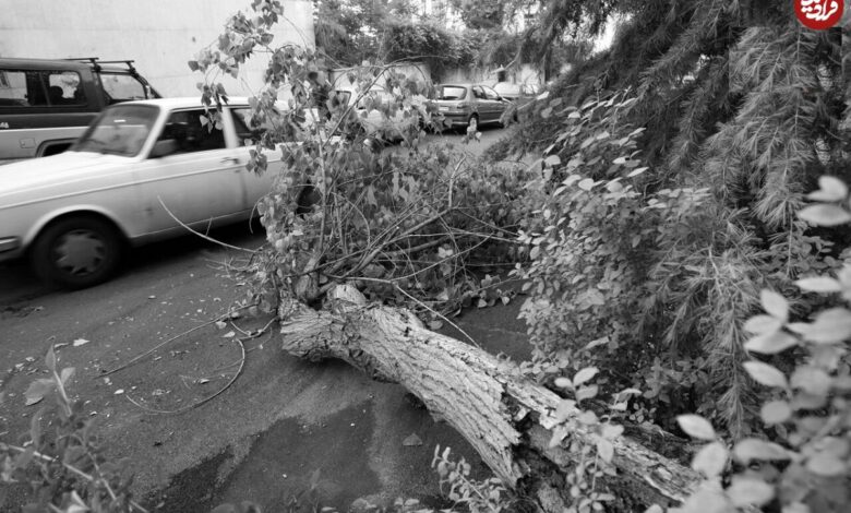 تاریخ و سفر در زمان؛ (عکس) توفان شدید تهران بازگشایی مدارس را سخت کرد! عکس؛ سفر در زمان؛ توفان شدید در تهران بازگشایی مدارس را سخت کرد!