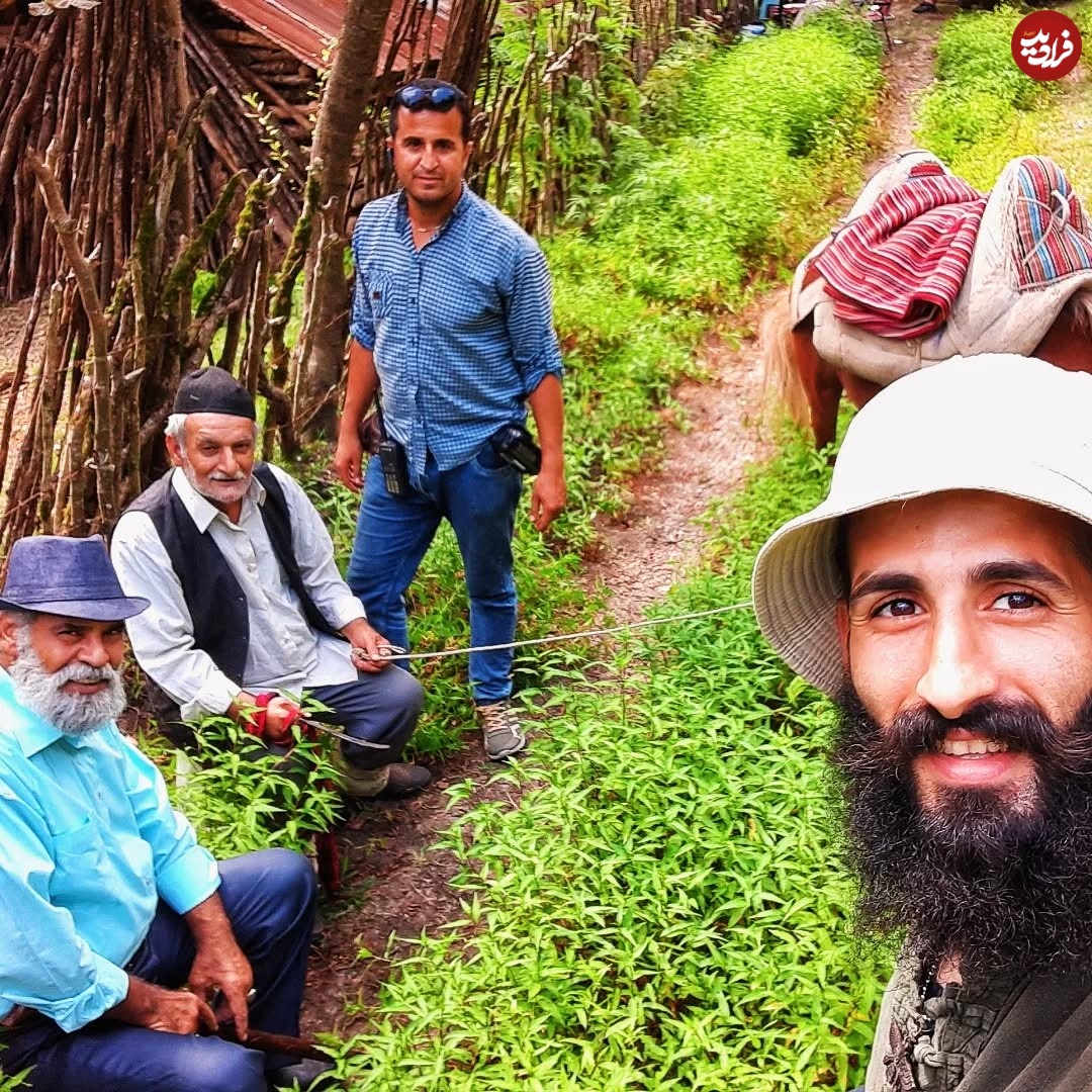 meisammousavi_1733112747_3513926872360064350_1448760956_11zon meisammousavi_1733112747_3513926872360064350_1448760956_11zon