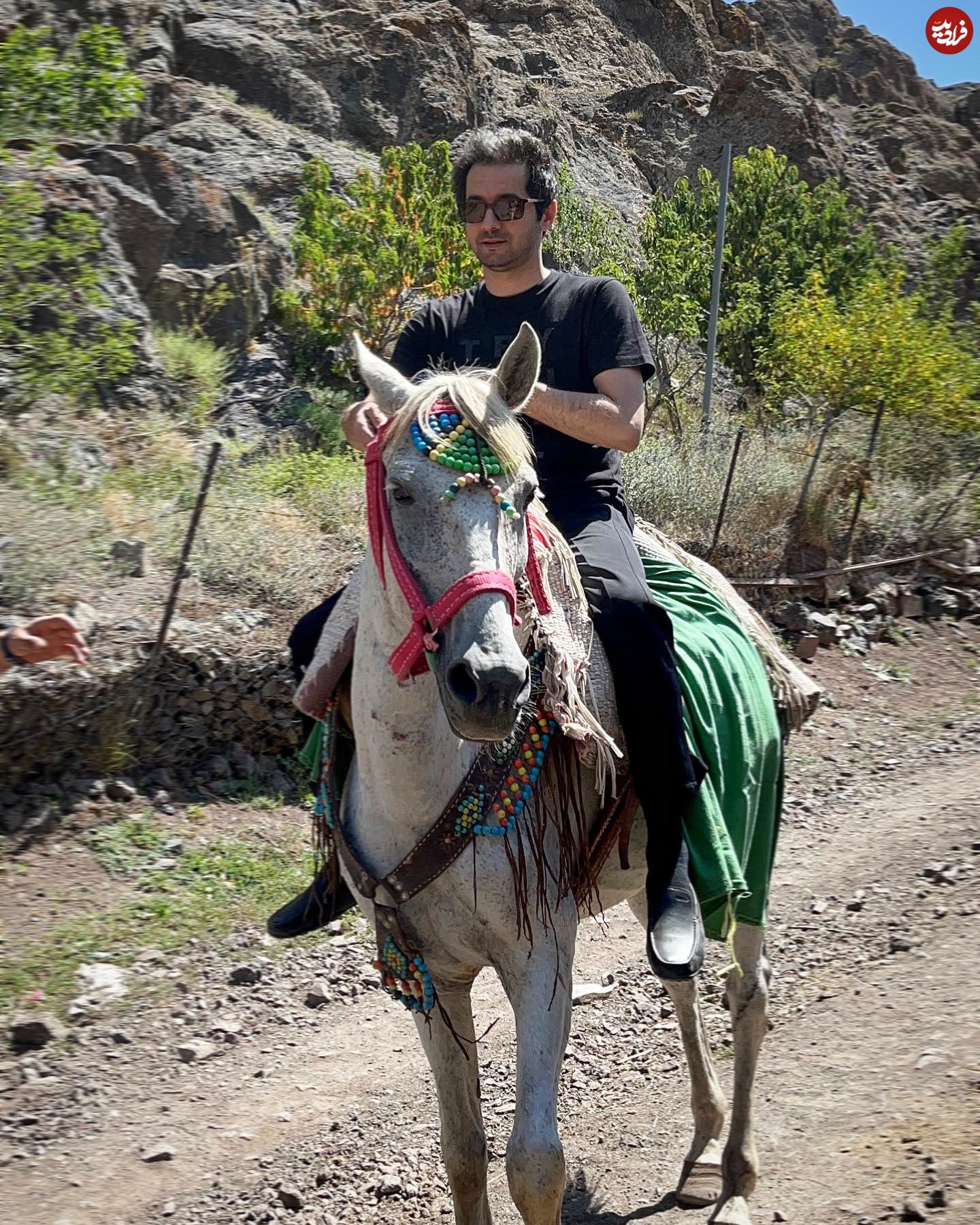 najmeddin.shariati_1661001837_2909016717934482800_1565975482