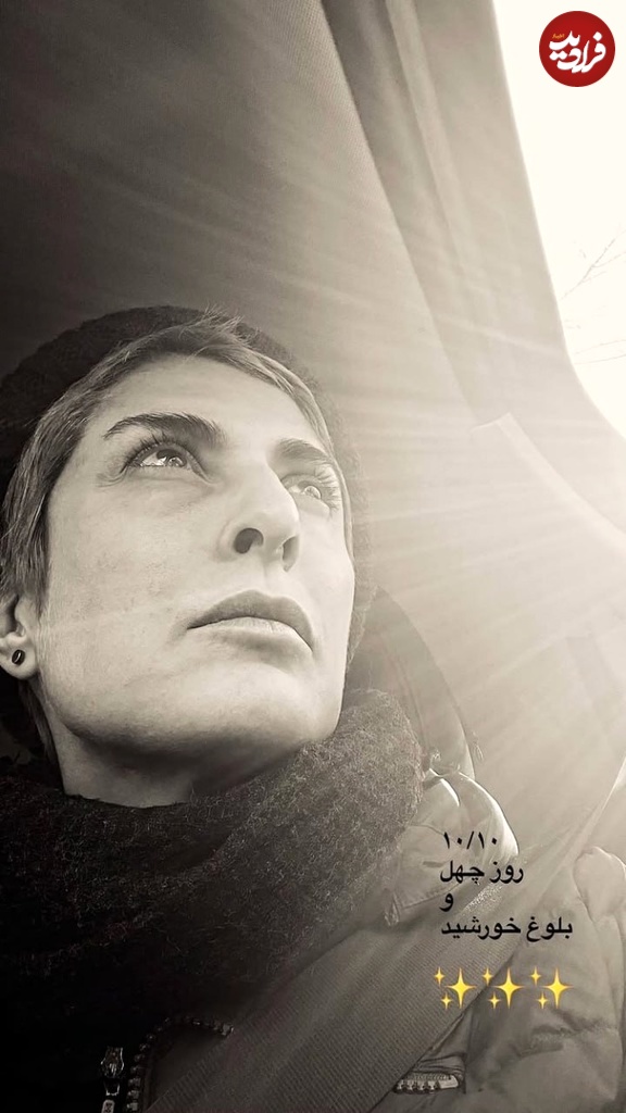 photo_2024-12-31_14-51-24 photo_2024-12-31_14-51-24