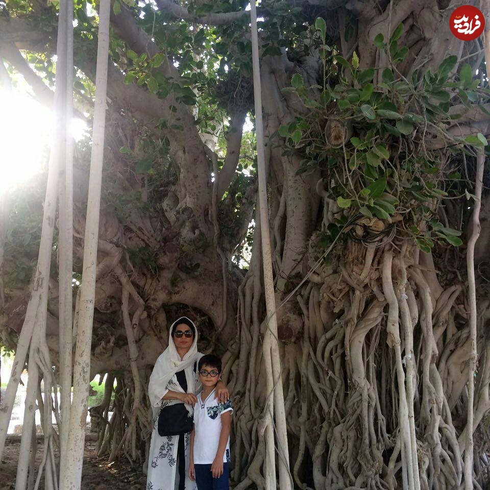 youna.tadayonn_1507391952_1620443605964841004_4734822492