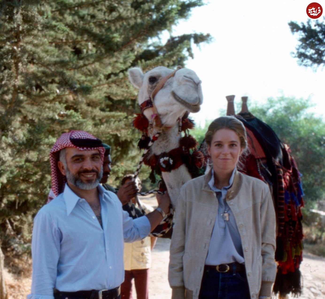 15401545504541 15401545504541