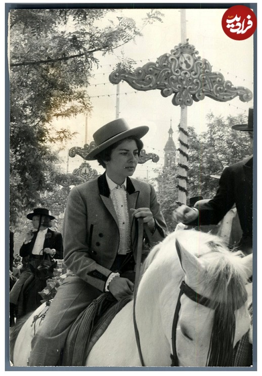 464524943_8952612041424398_50zon 464524943_8952612041424398_50zon