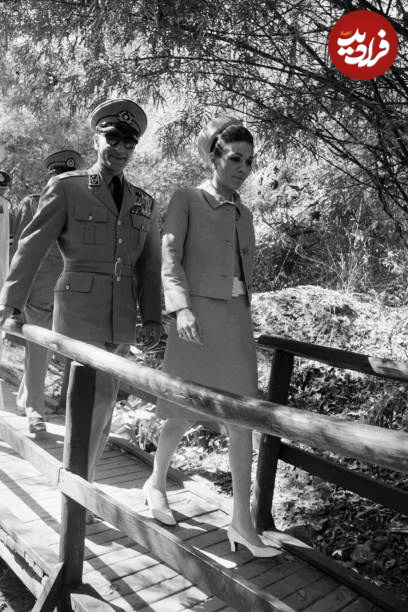 8798876543 8798876543