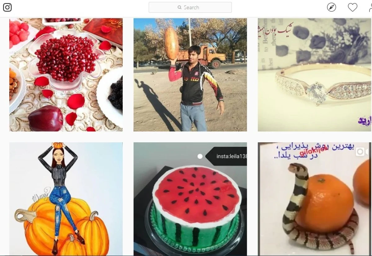 %D8%AA%D8%B1%DA%A9%DB%8C%D9%87 6