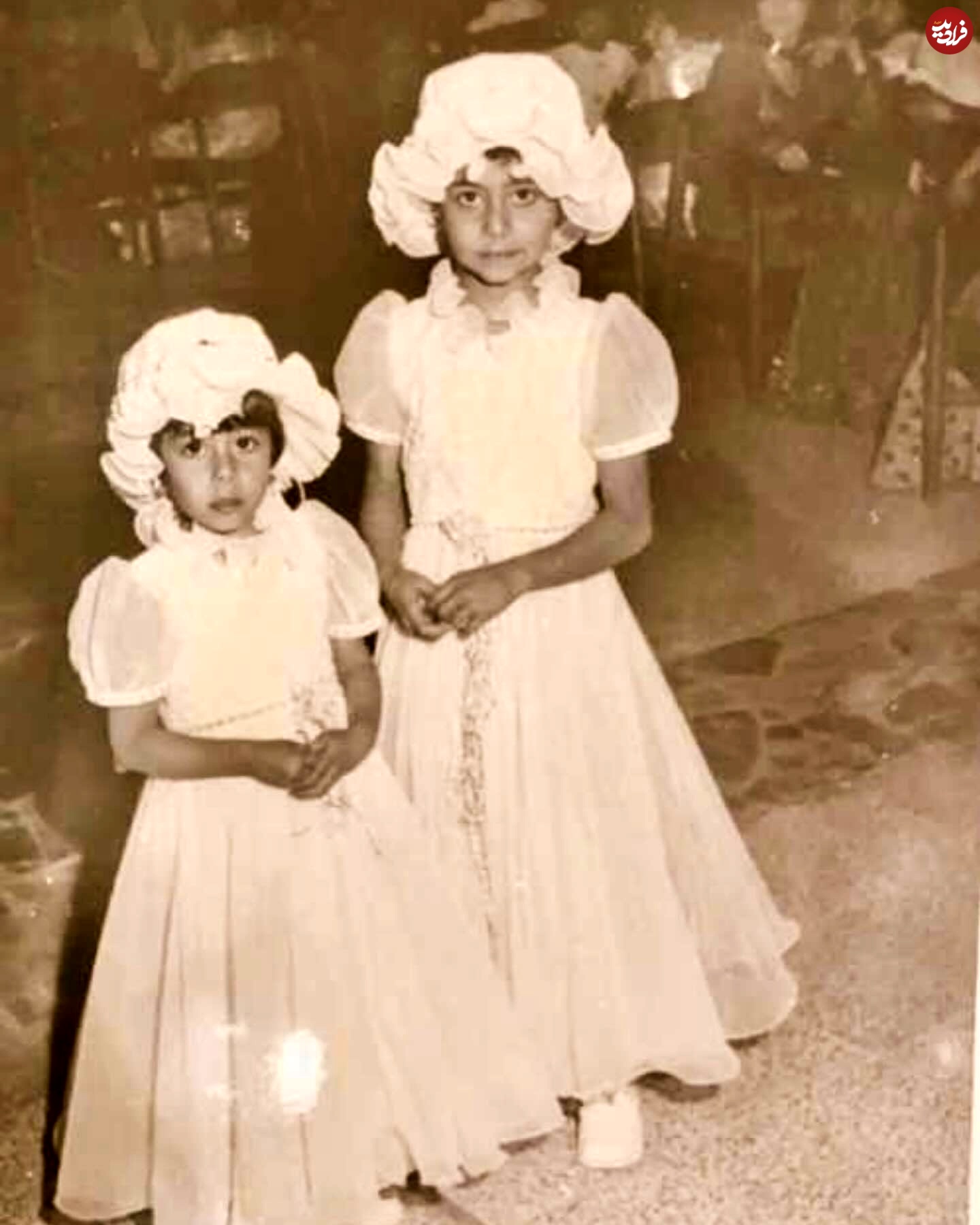 hareer.hussein.kamel_1720994192_3412269064126251232_4303215595