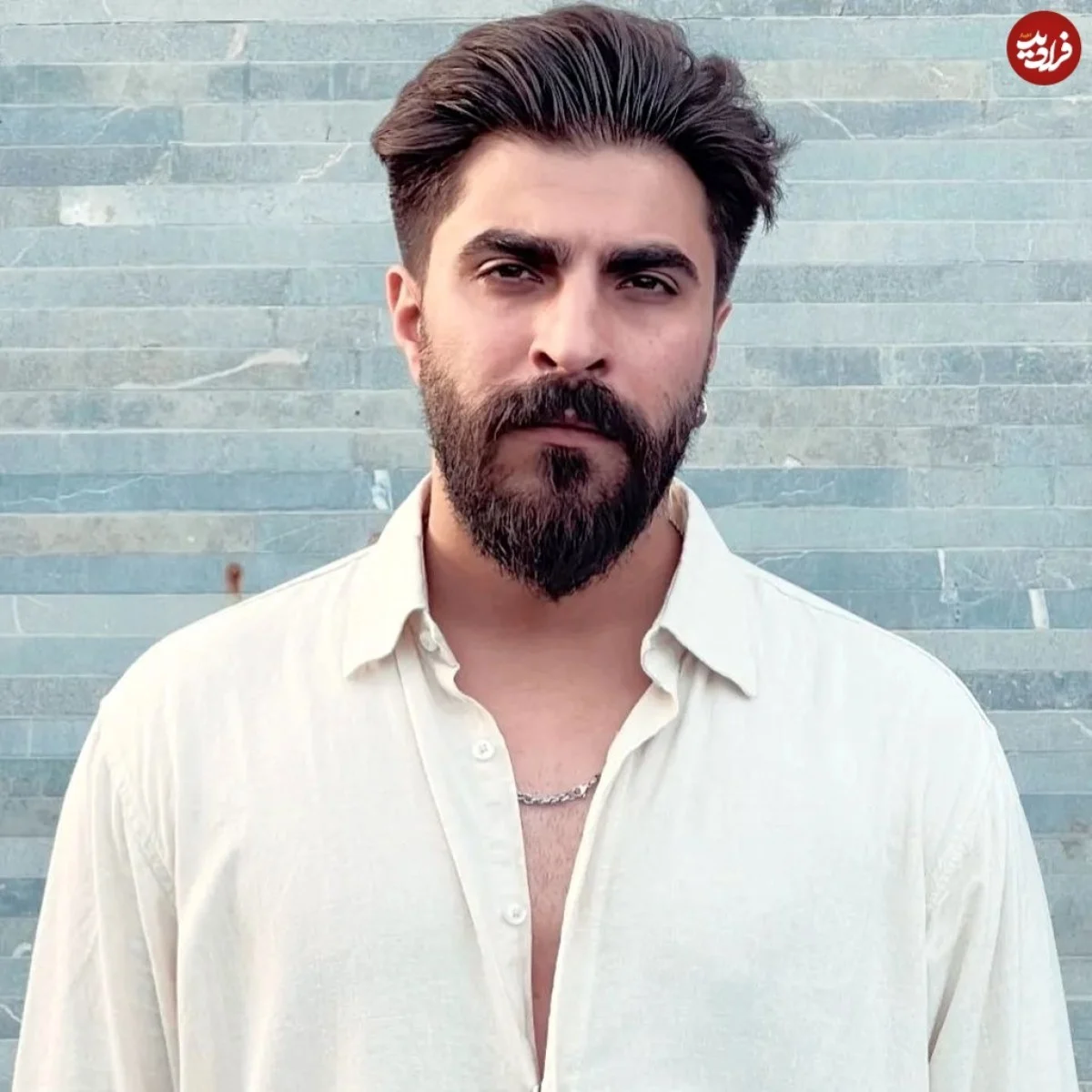 pouya.hajireza 1720202396 3405626993625764912 21138244191 11zon