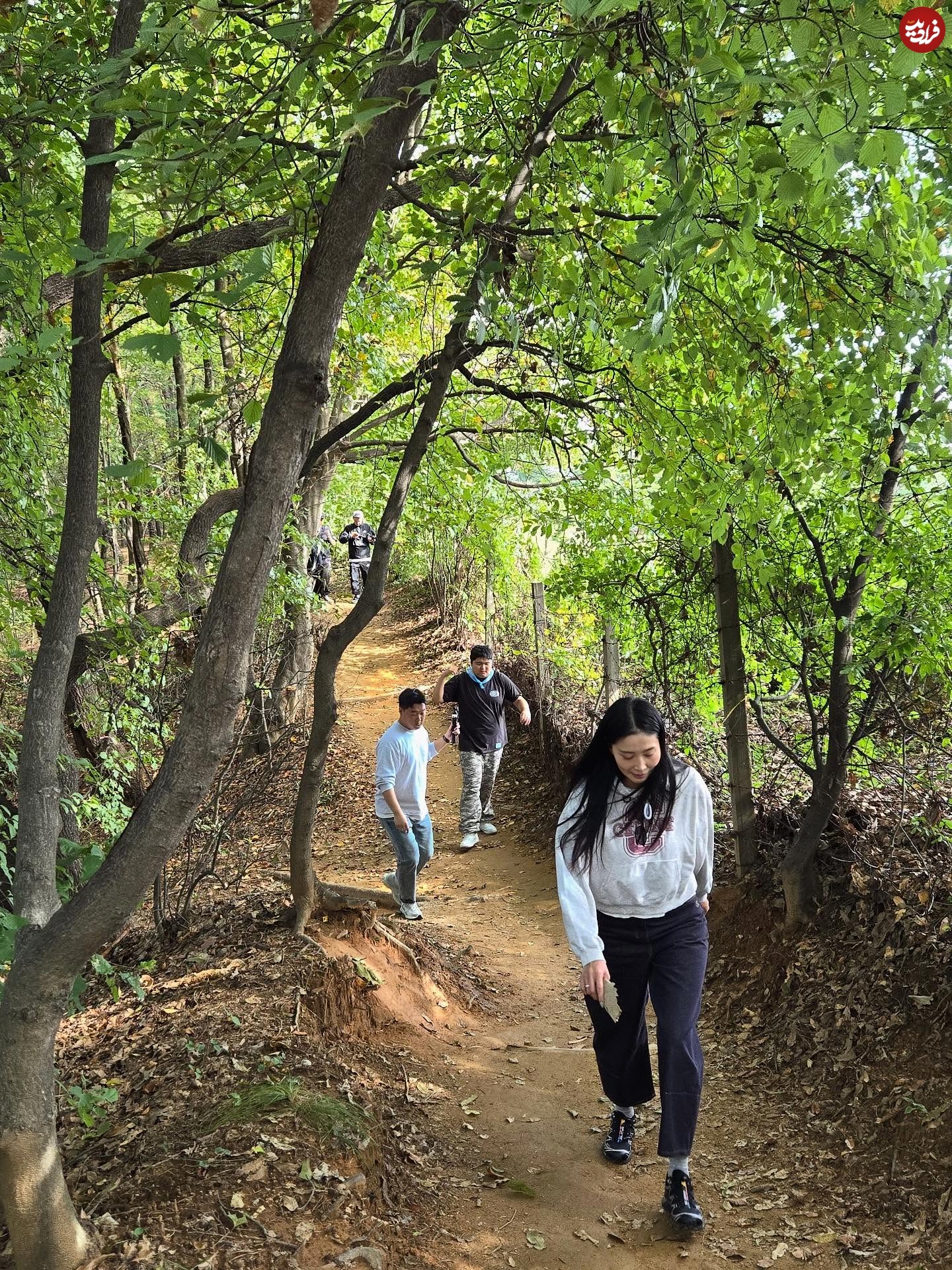 ya9579_1761312801_3750486066379040903_1764237306 ya9579_1761312801_3750486066379040903_1764237306