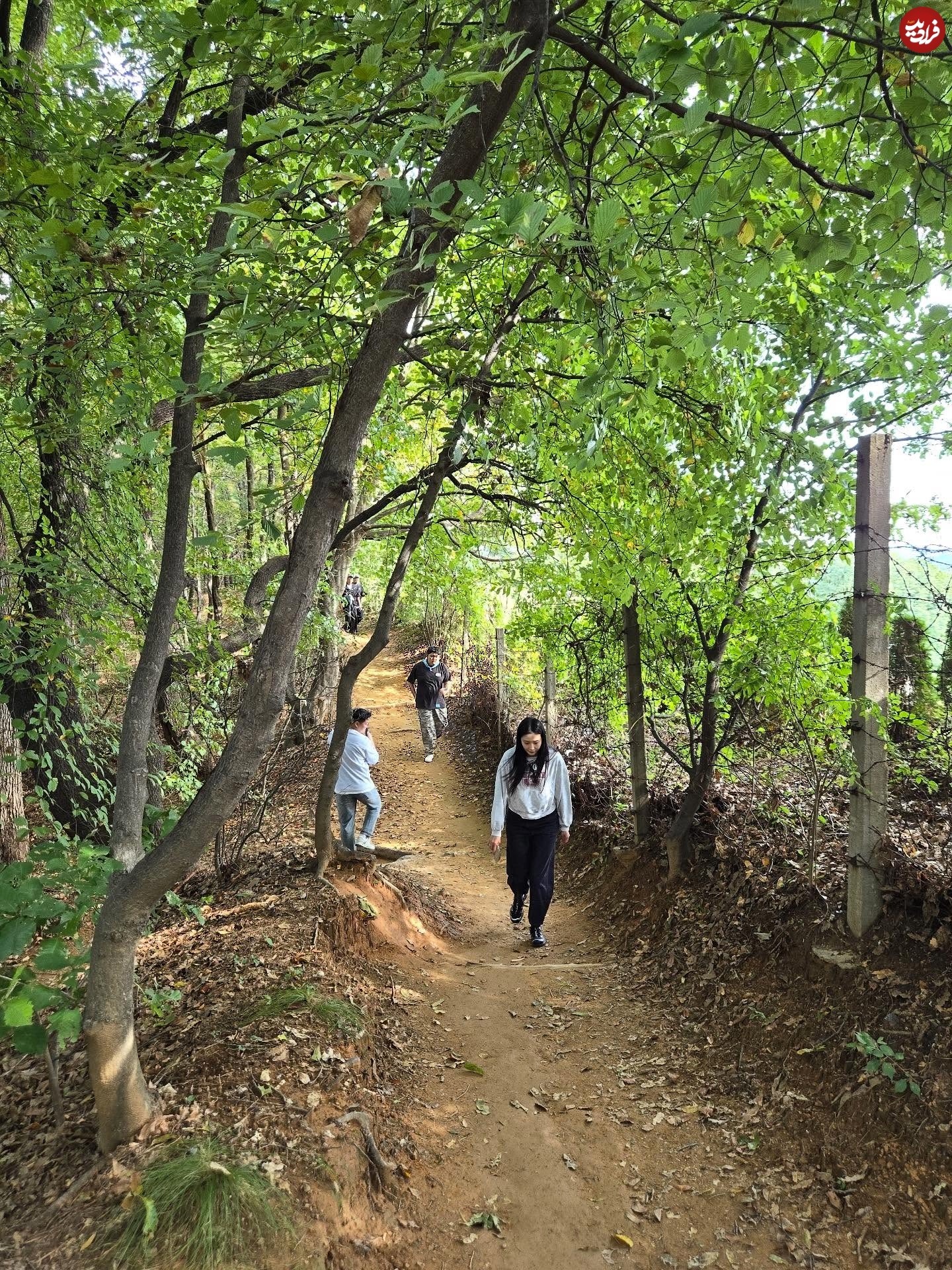 ya9579_1761312801_3750486066664245615_1764237306 ya9579_1761312801_3750486066664245615_1764237306