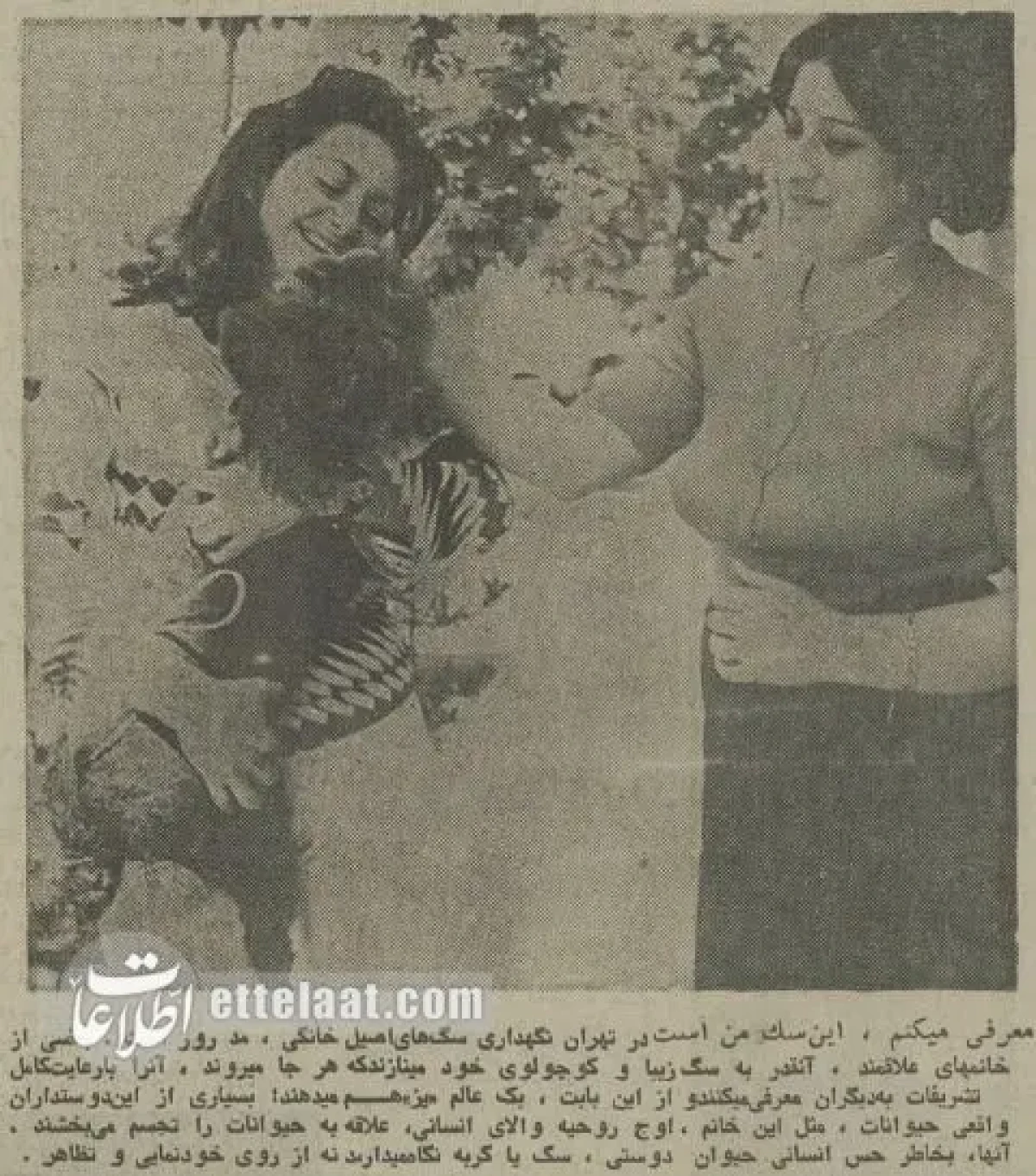 2025-12-07_21-30-01_019641 68