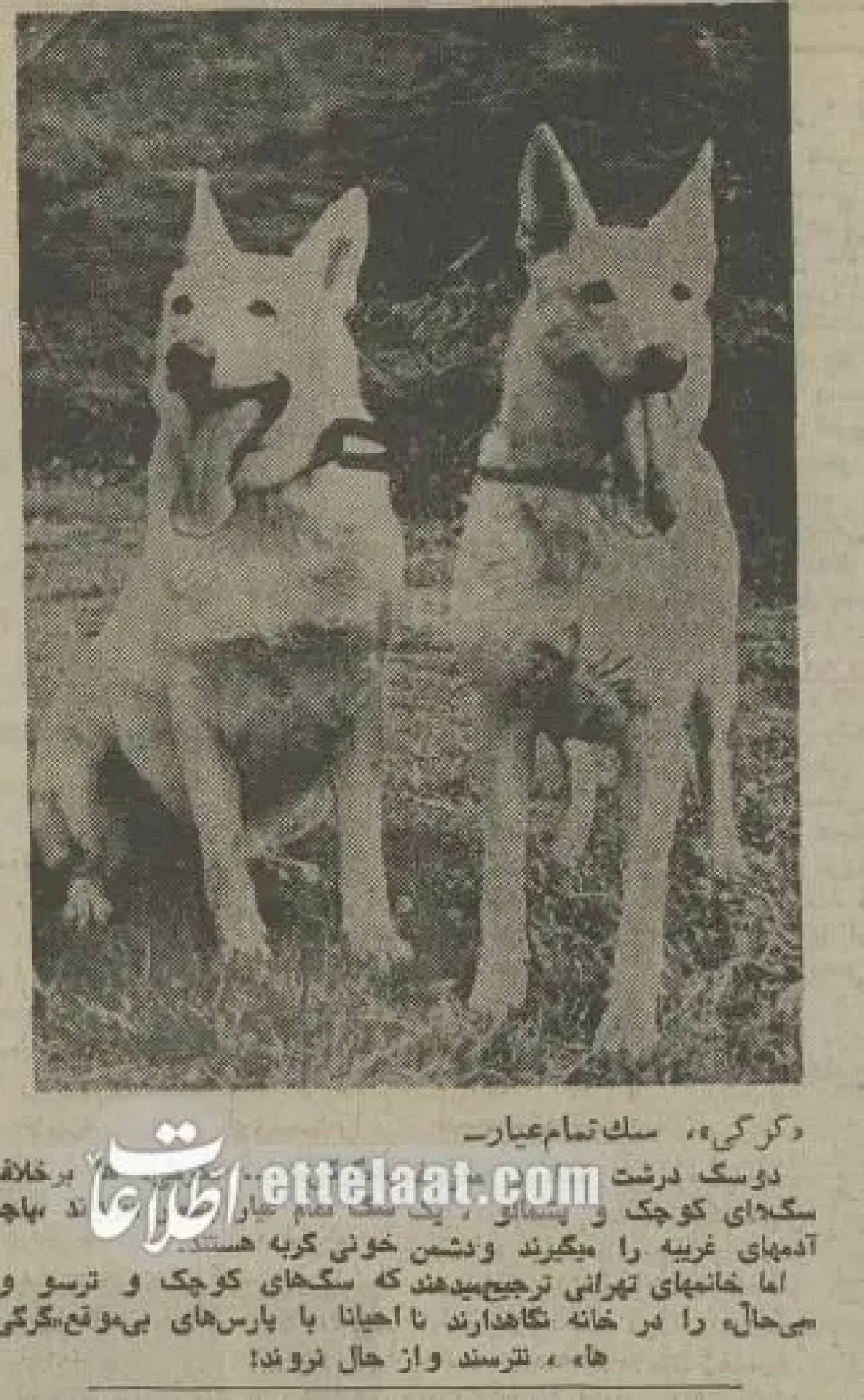 2025-12-07_21-30-01_440507 69