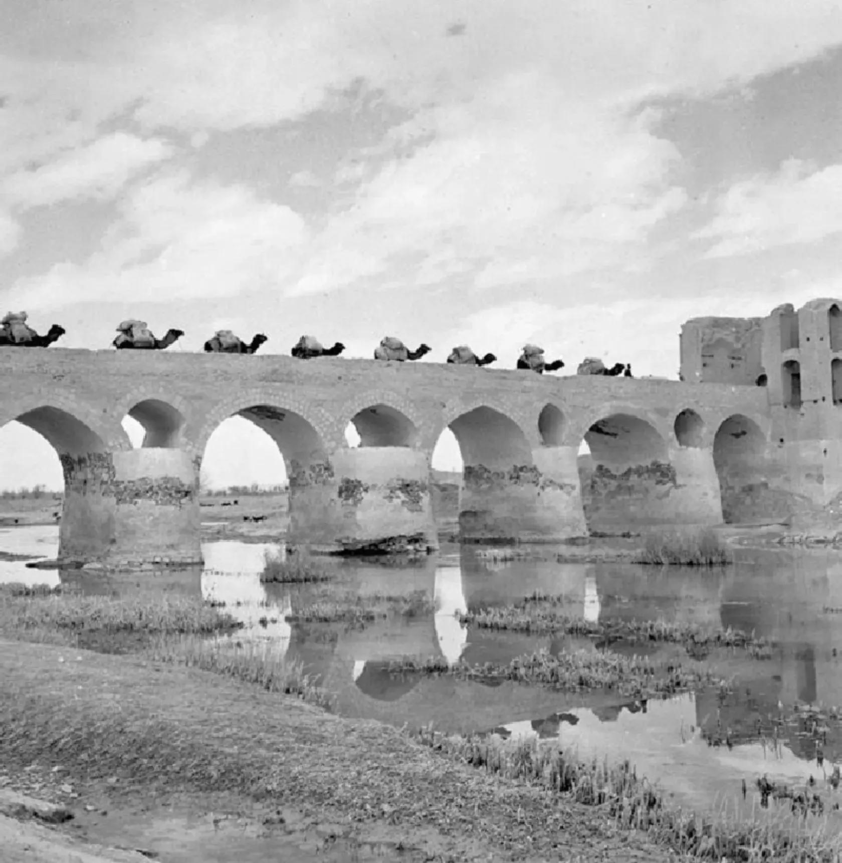 2025-12-07_22-20-03_149740 74