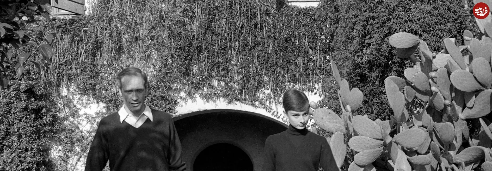 2025-12-08_05-38-06_596529 110