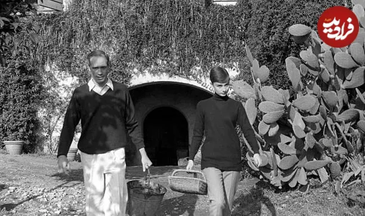 2025-12-08_05-38-06_752013 111