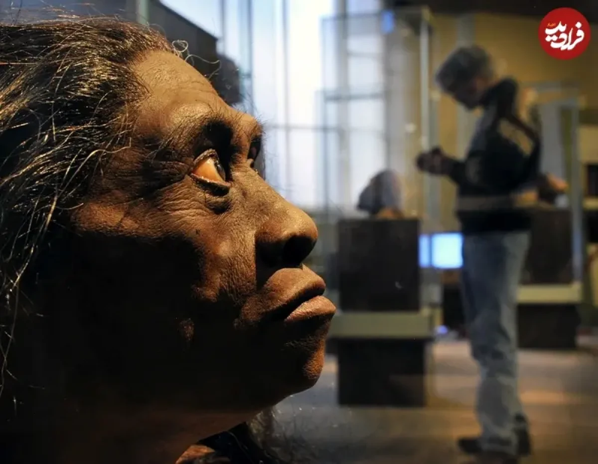 2025-12-09_12-29-58_134774 1