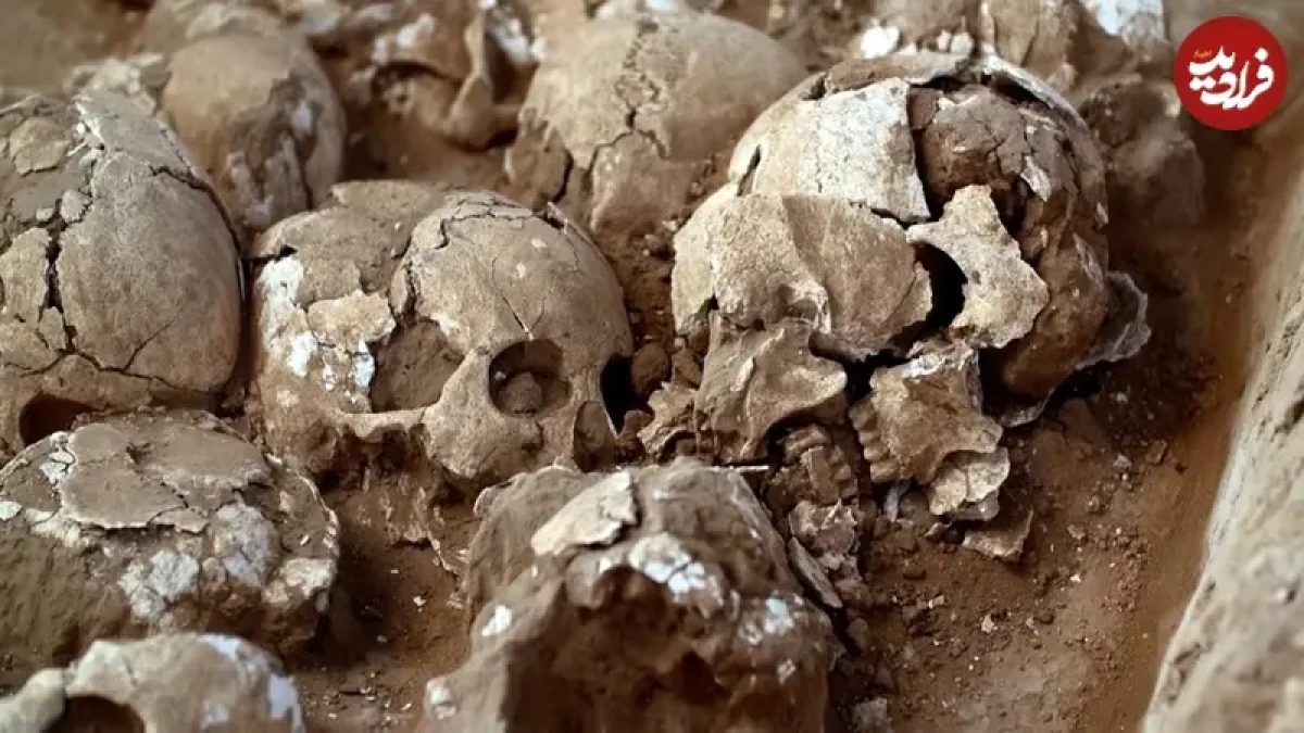 2025-12-09_14-11-59_147443 1