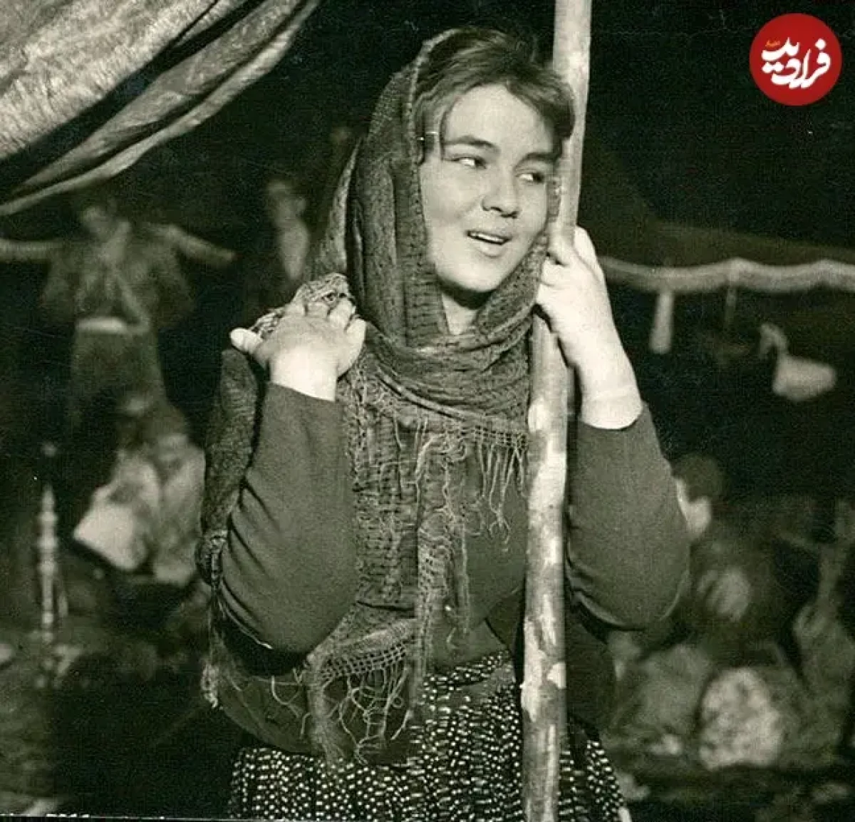 dbd76222227d2912ee1135ec59f30b82