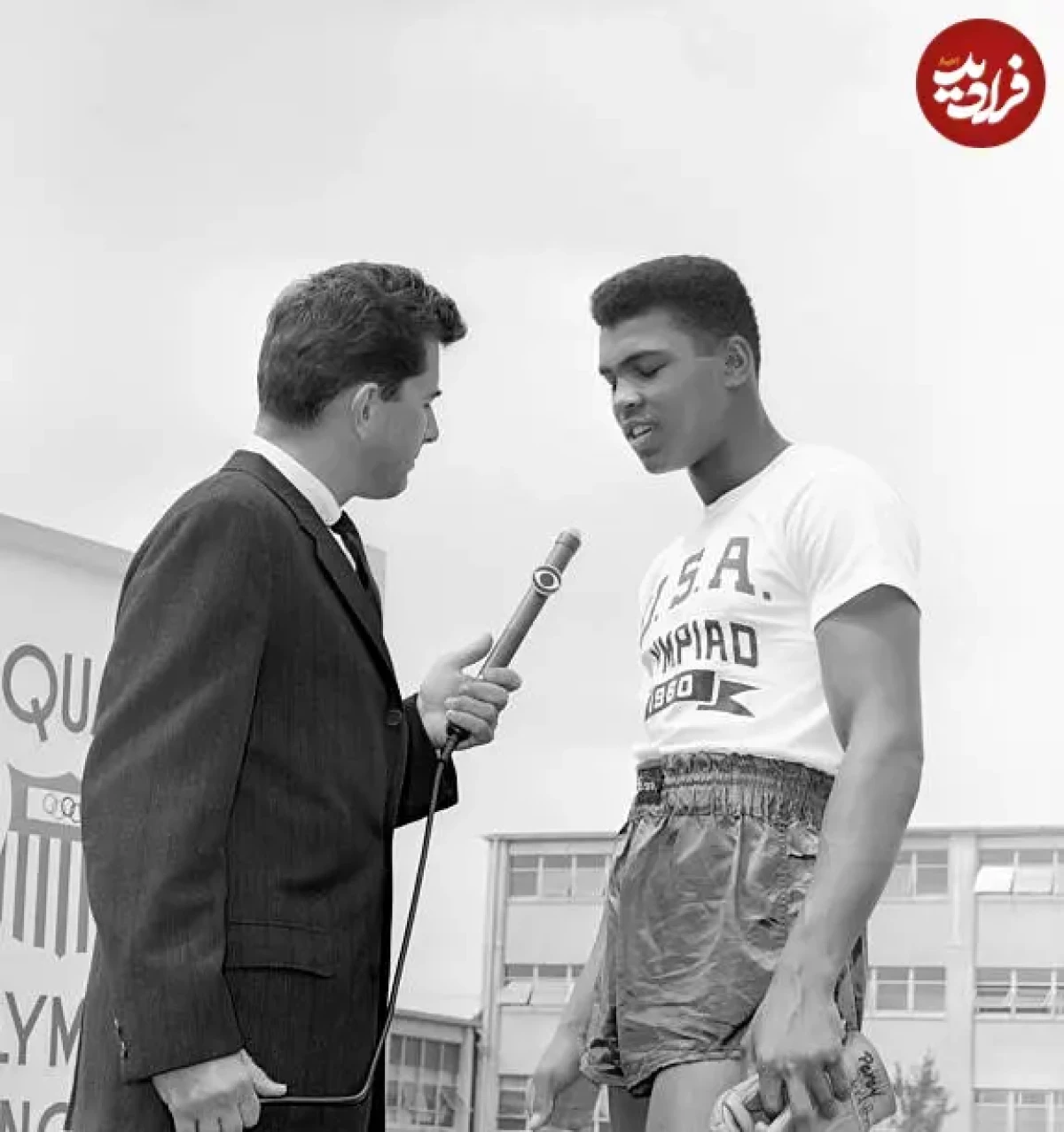 2025-12-10_03-48-00_309061 8