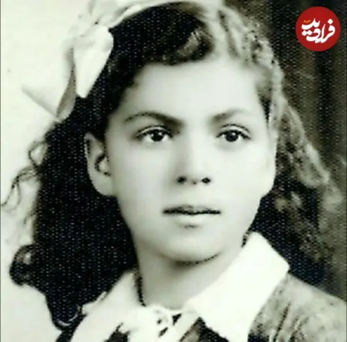 2025-12-10_17-57-58_992273 e_boushehre_1491277300_1485264103127038518_3048498484