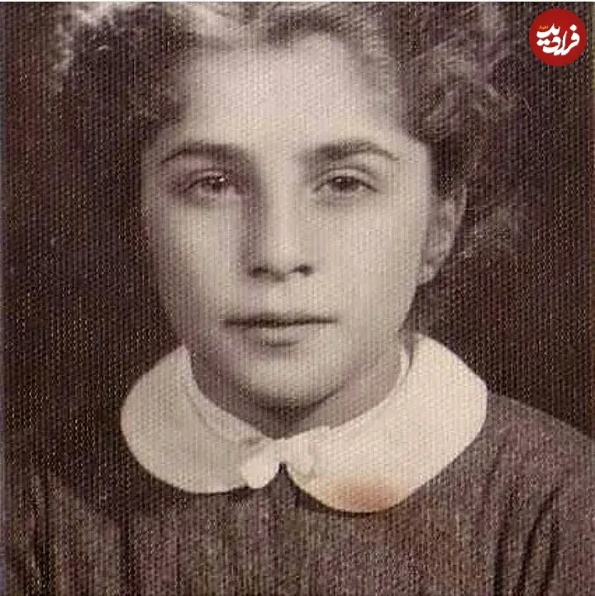 2025-12-10_19-58-00_022570 e_boushehre_1487524354_1453782114171356514_3048498484