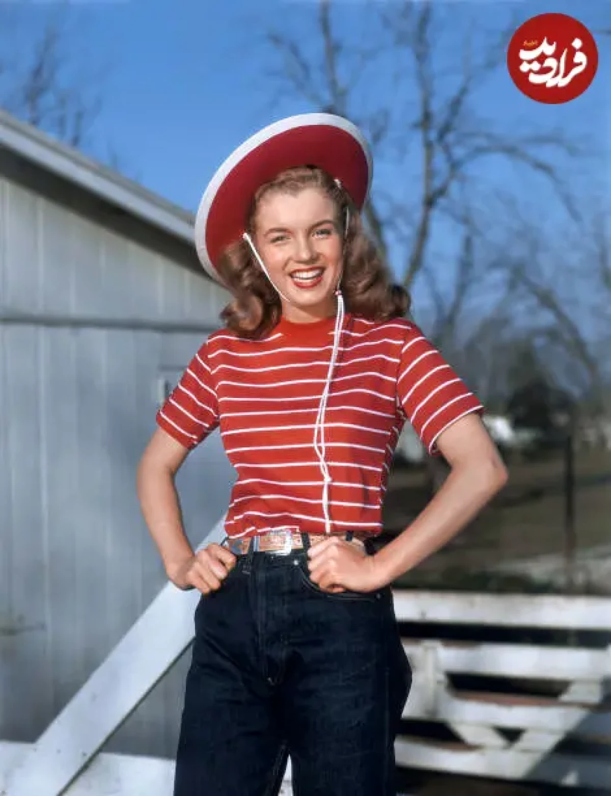 2025-12-11_02-37-59_362123 109