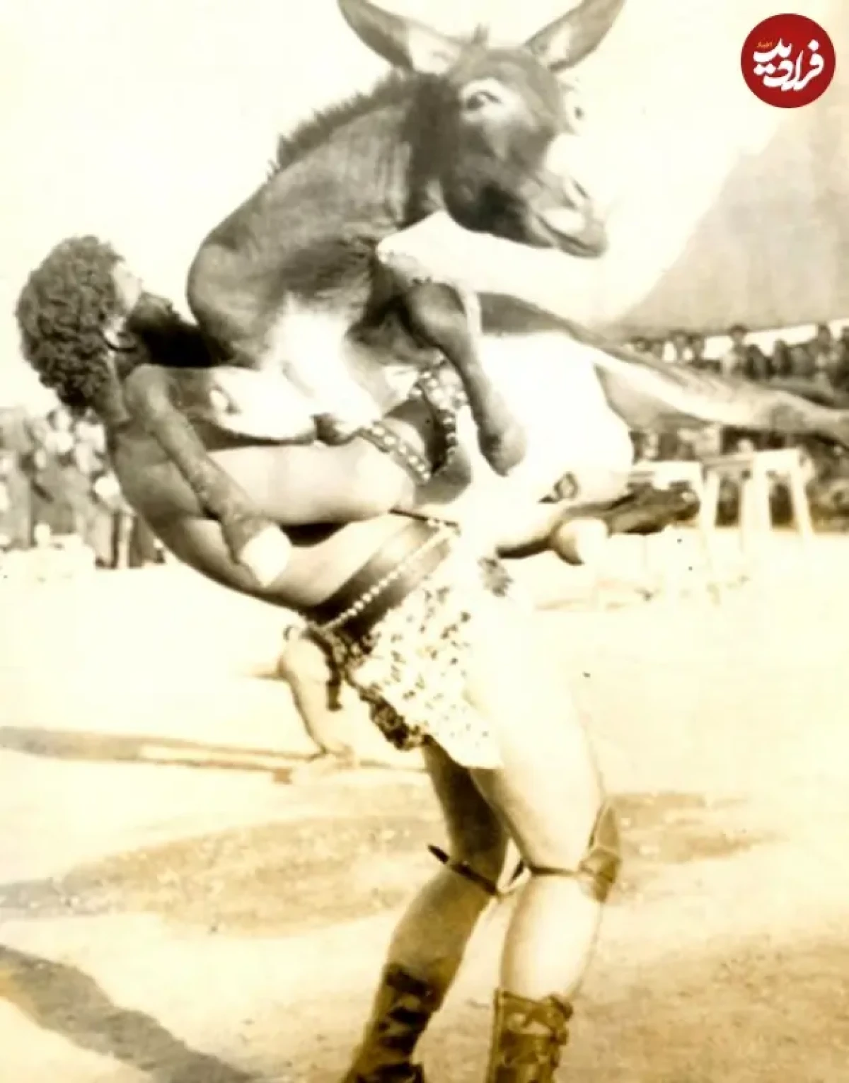 2025-12-11_12-07-59_254351 عکس| سفر زمان؛ «خلیل عقاب، پدر سیرک ایران» در جوانی در حال بلند کردن الاغ؛ دهۀ 40