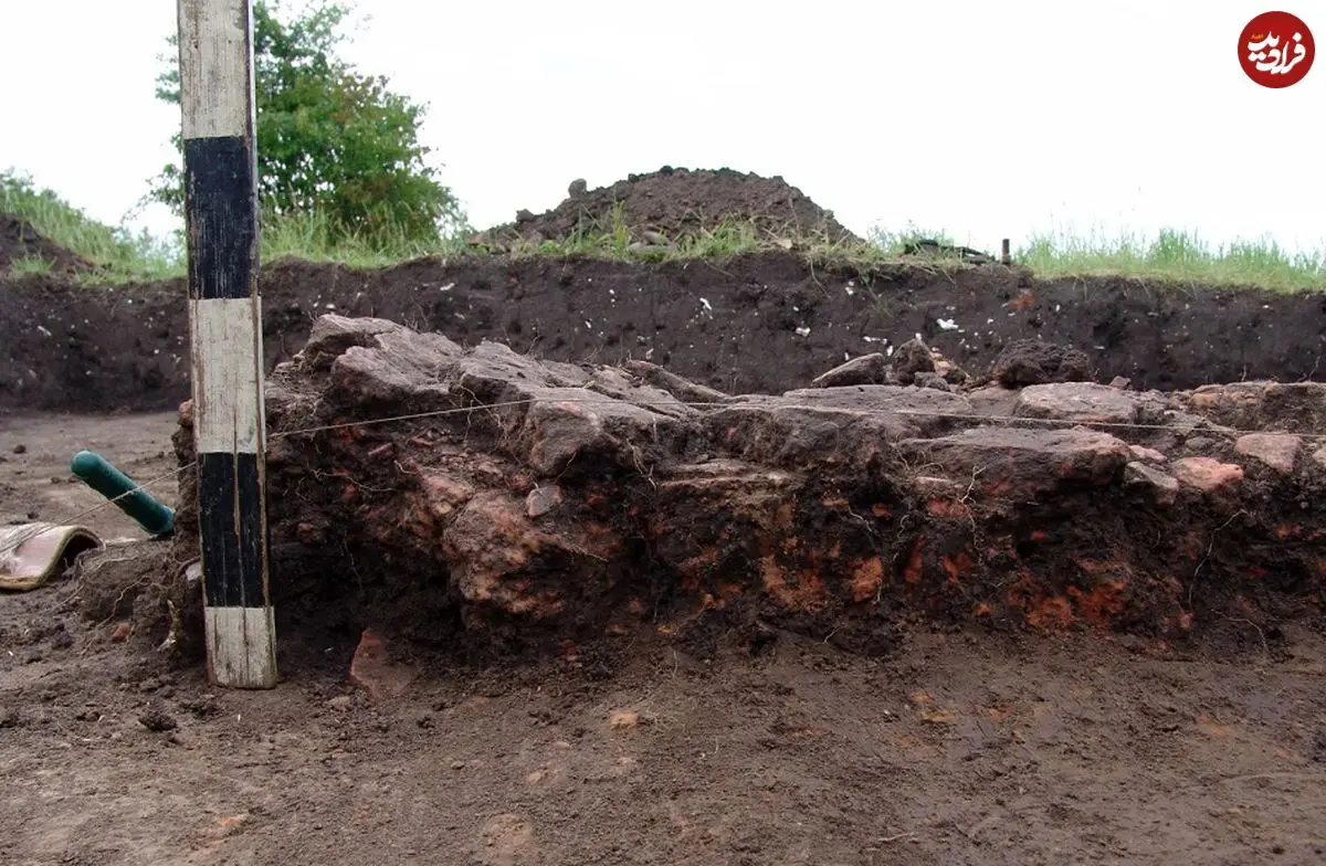 گاو کوچک ۶۰۰۰ ساله در اوکراین از زیر خاک بیرون آمد