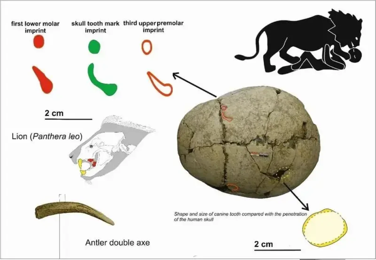 2025-12-11_20-40-18_093553 23_11zon