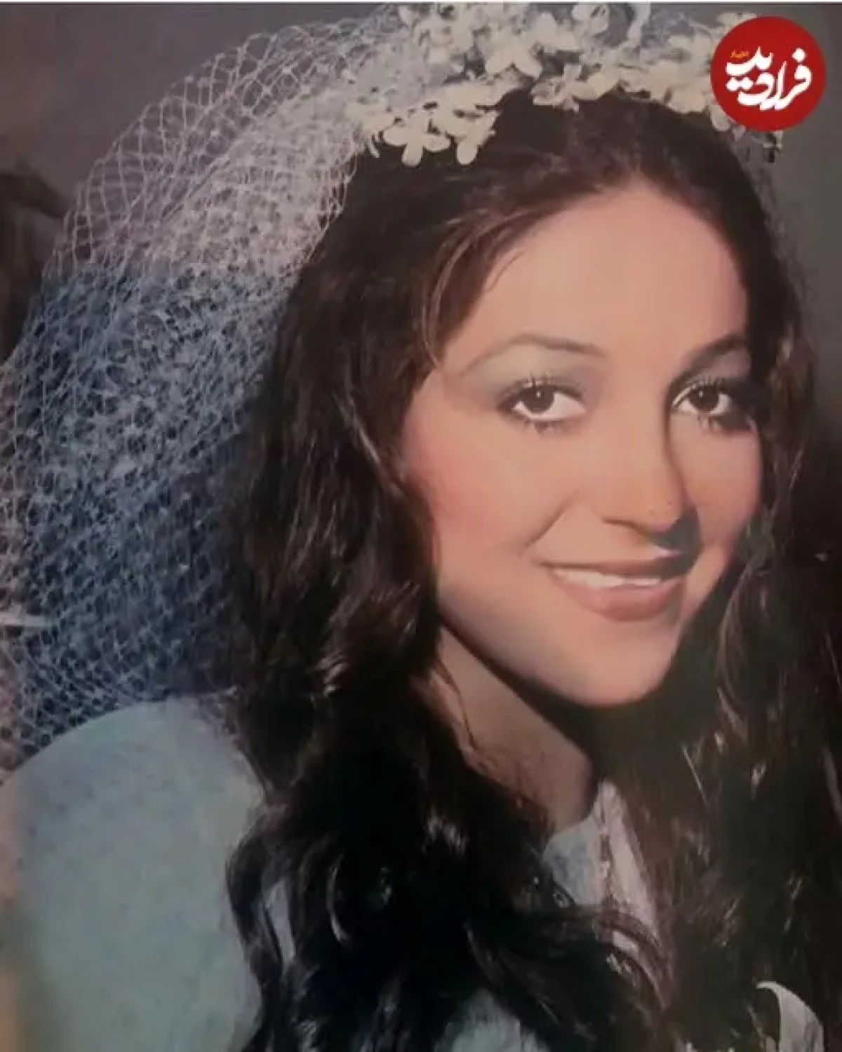 2025-12-11_23-00-04_477051 95949078_563172464630884_6157939257907347456_n