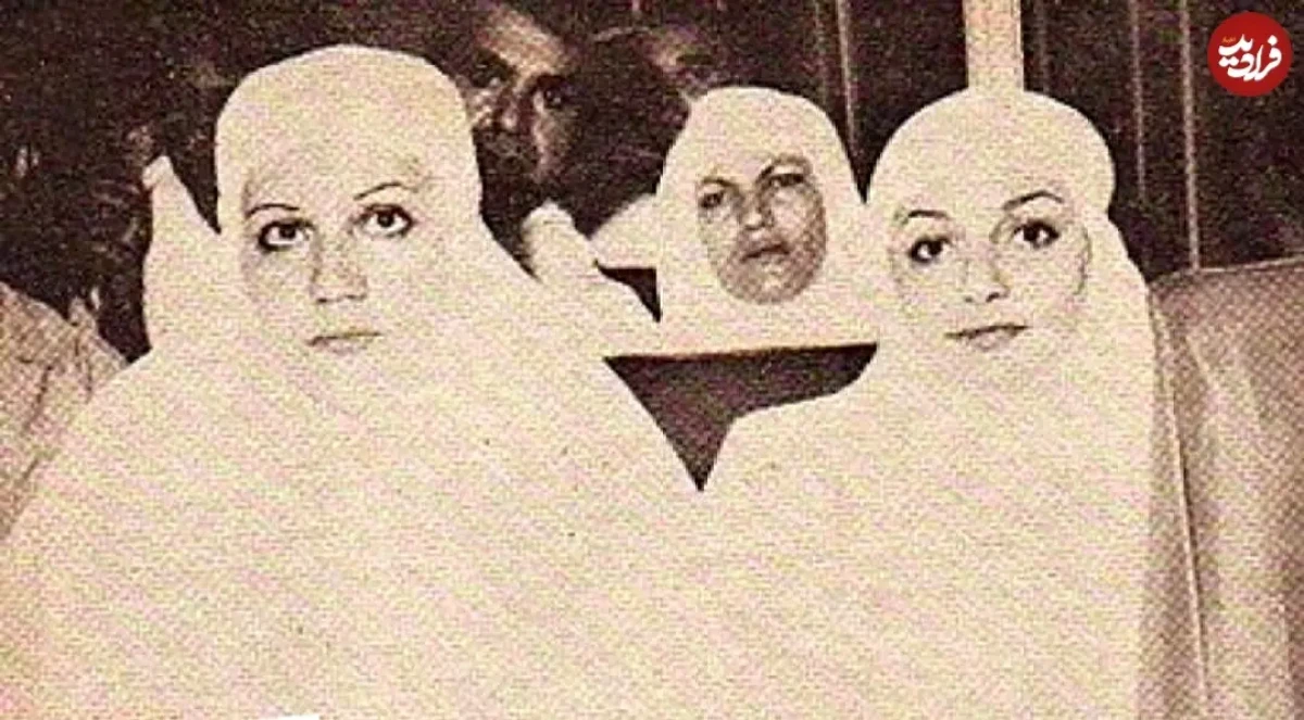 2025-12-12_00-08-03_398065 e_boushehre_1502998377_1583587621597227190_3048498484