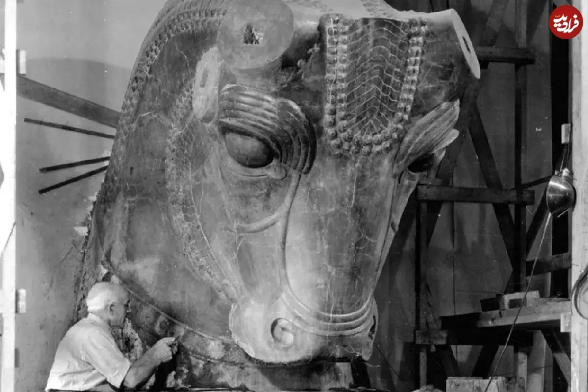 عکس| گاو سنگی هخامنشی در شیکاگو است!