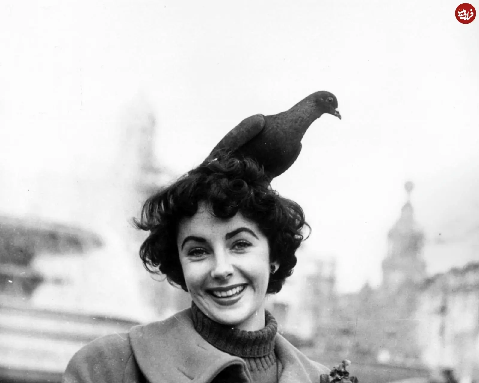 2025-12-12_13-18-05_335316 31