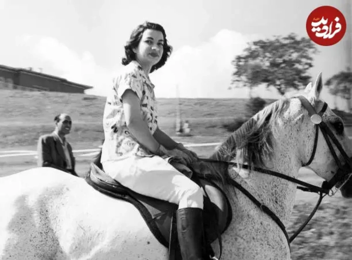 2025-12-12_20-38-09_439605 5