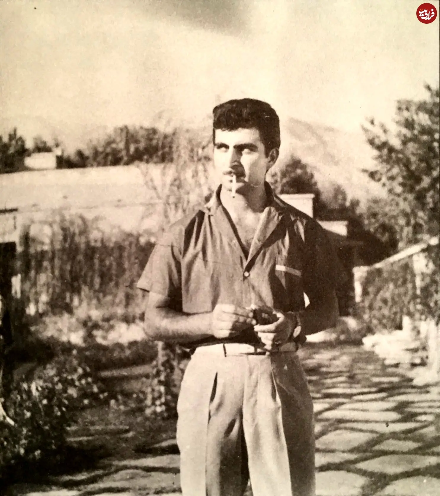 2025-12-13_08-08-00_806139 464602748_8561785207191462_392856577811079826_n