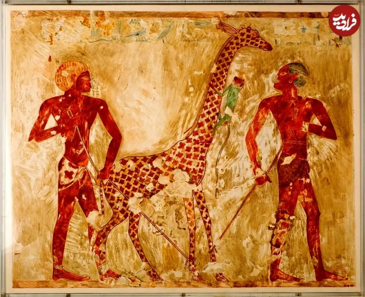 2025-12-13_13-18-01_245806 1