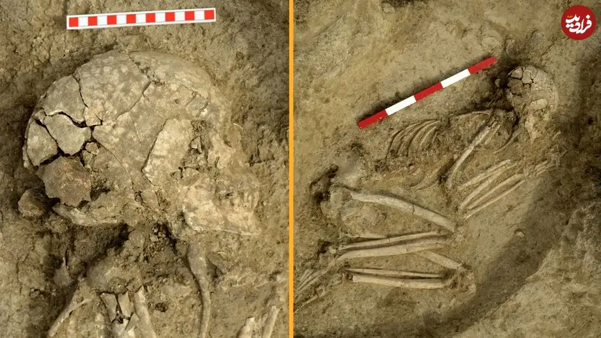 کشف اسکلت نوجوانی که 6 هزار سال قبل مورد حملۀ «شیر» قرار گرفت کشف اسکلت نوجوانی که 6 هزار سال قبل مورد حملۀ «شیر» قرار گرفت