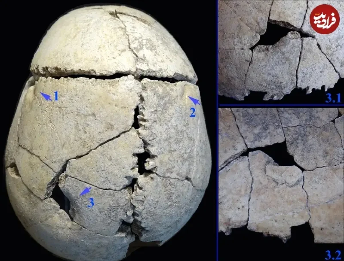 2025-12-14_12-38-10_952468 1