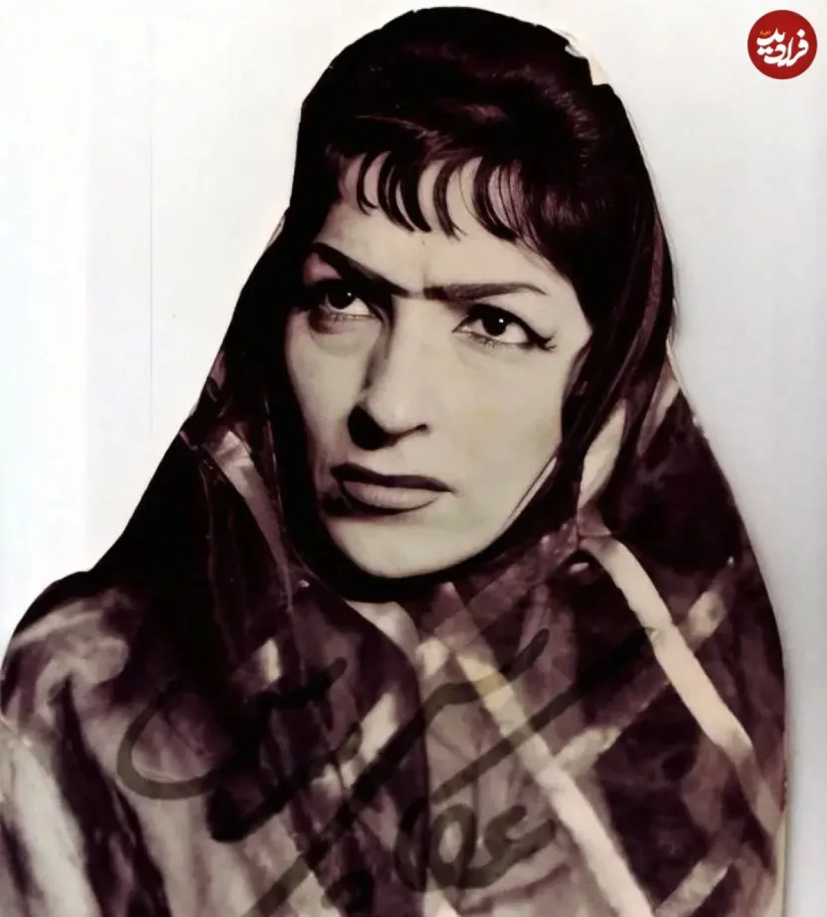 2025-12-14_13-18-18_039960 zirkhaki_fiilm_1722522188_3425086825598481492_1917305573_11zon