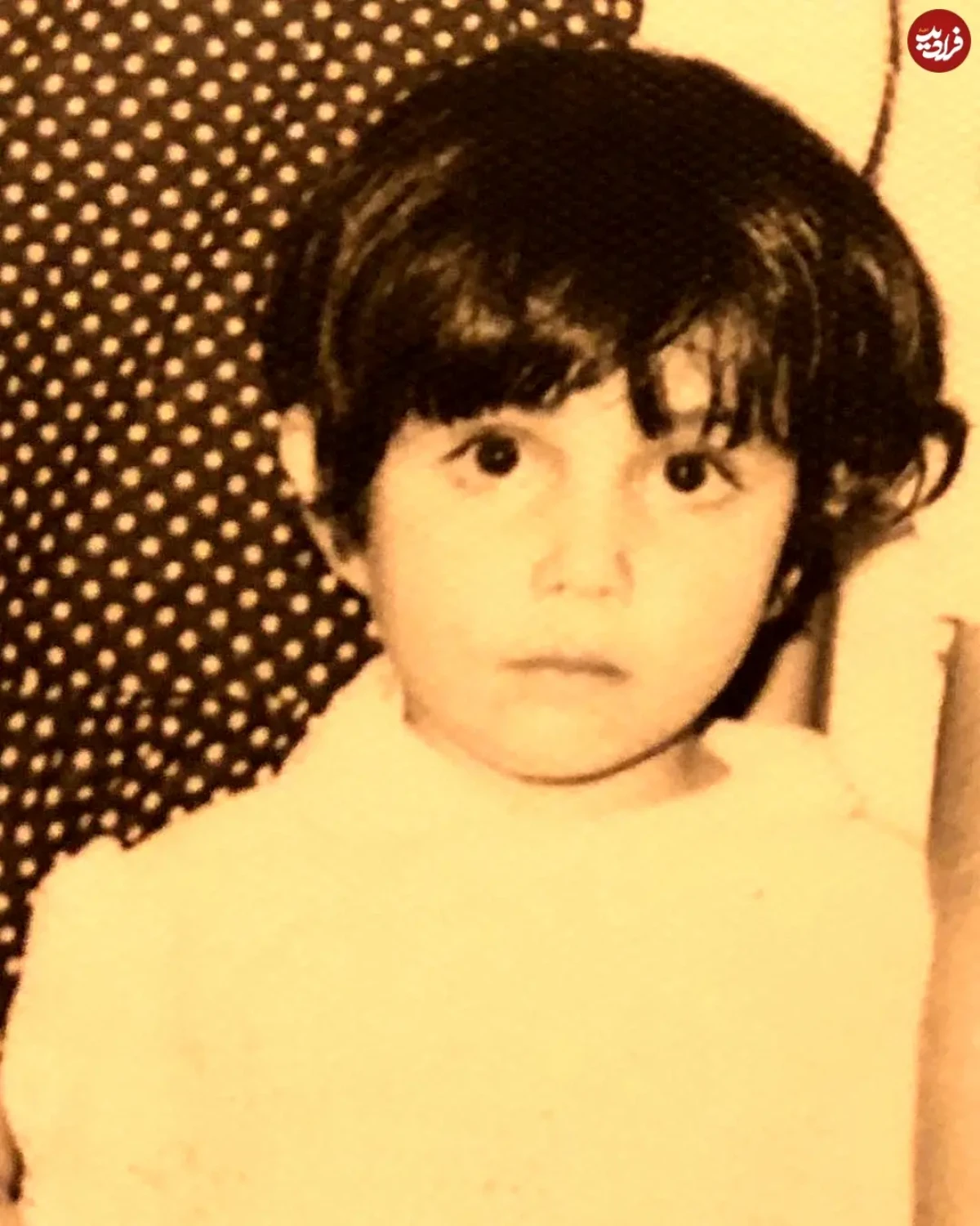 minahashemi.official_1539024179_1885793954105304171_6617541181