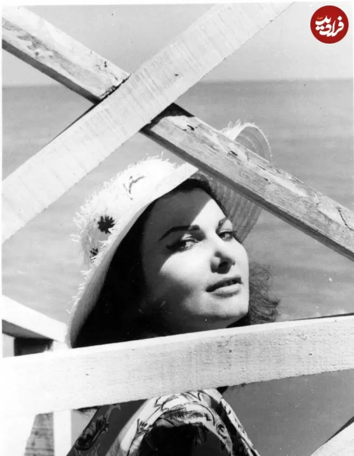 557465132_24867630442871693_6690724553105446111_n