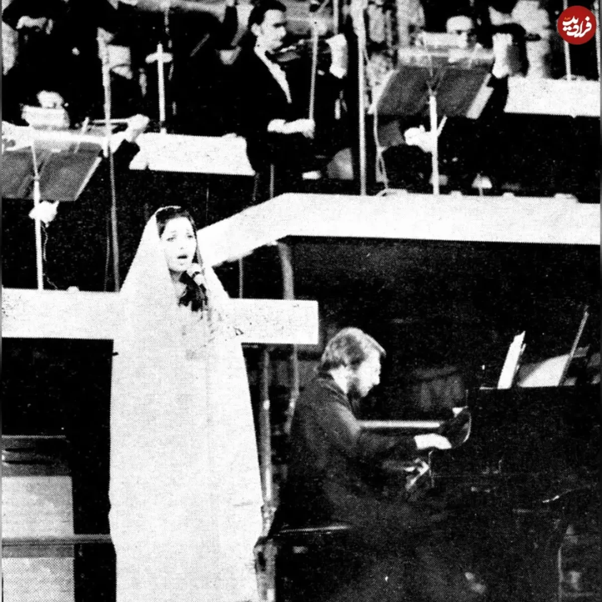 photogoogoosh_1642499564_2753808395330940419_47171307983_11zon