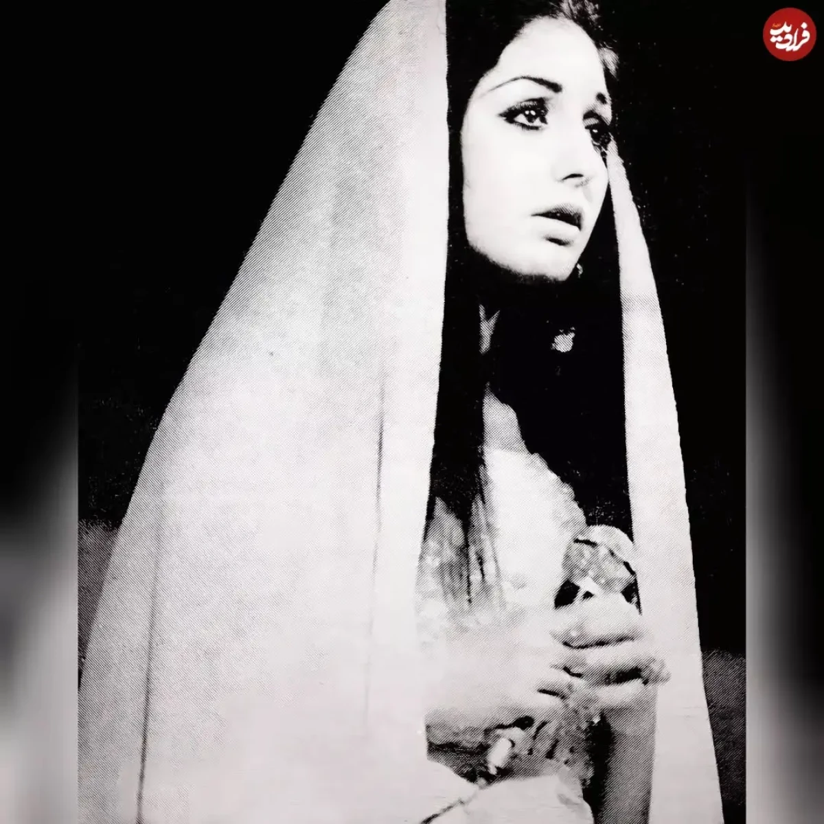 photogoogoosh_1642499564_2753808395121354120_47171307983_11zon