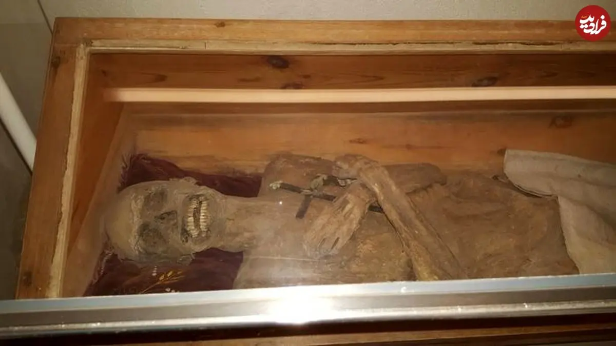 رازهای تاریخی که در سال ۲۰۲۵ به کمک علم حل شدند؛ از مومیایی اتریشی تا قایق دانمارکی