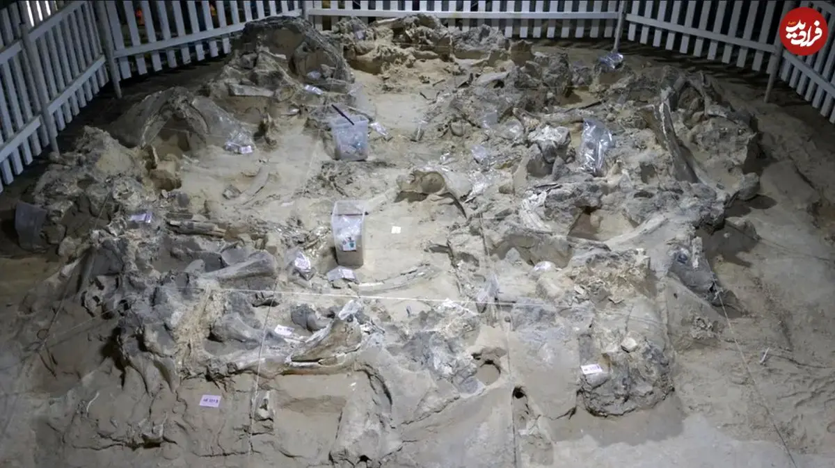 کشف خانه‌های 19 هزارساله که با استخوان ماموت ساخته شده‌اند